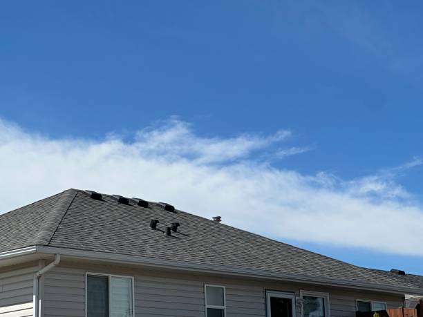 Professional Roofing in Willow Grove, TX